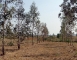 dsc01441