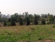 dsc01443
