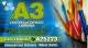 a3