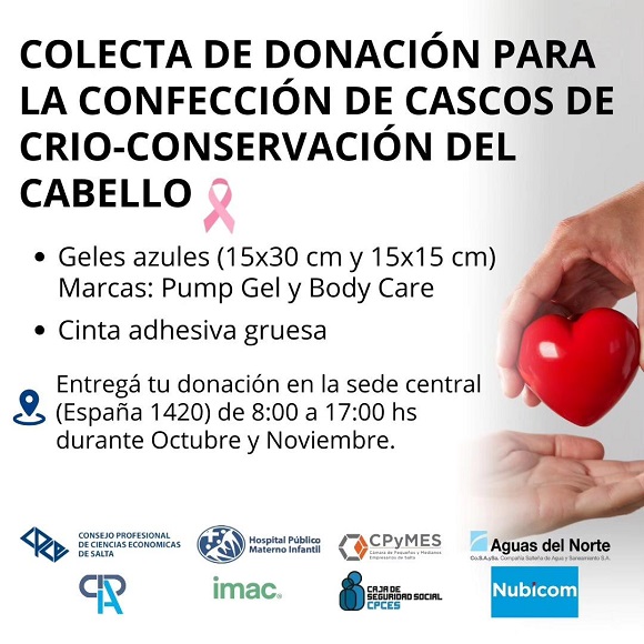 COMISIÓN DE RESPONSABILIDAD Y BALANCE SOCIAL