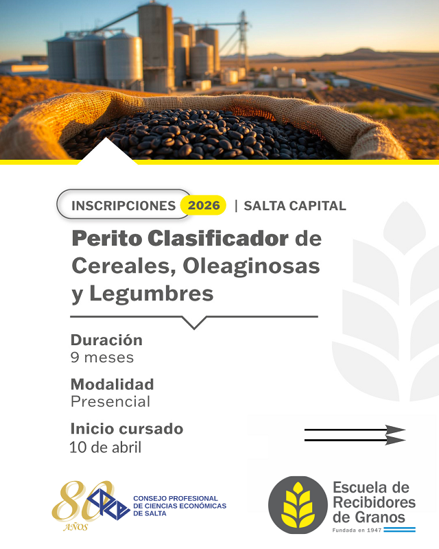 Perito Clasificador