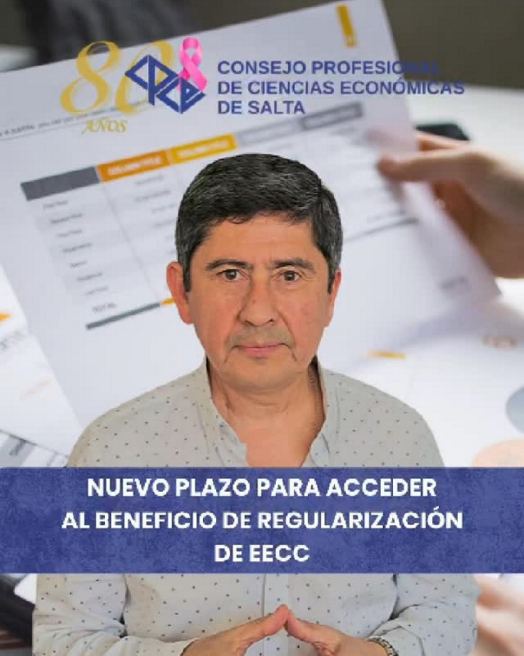 NUEVO PLAZO ONGS
