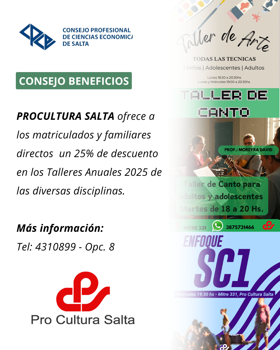 PROCULTURA SALTA