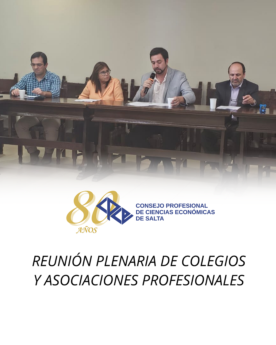 REUNIÓN PLENARIA DE COLEGIOS Y ASOCIADOS PROFESIONALES
