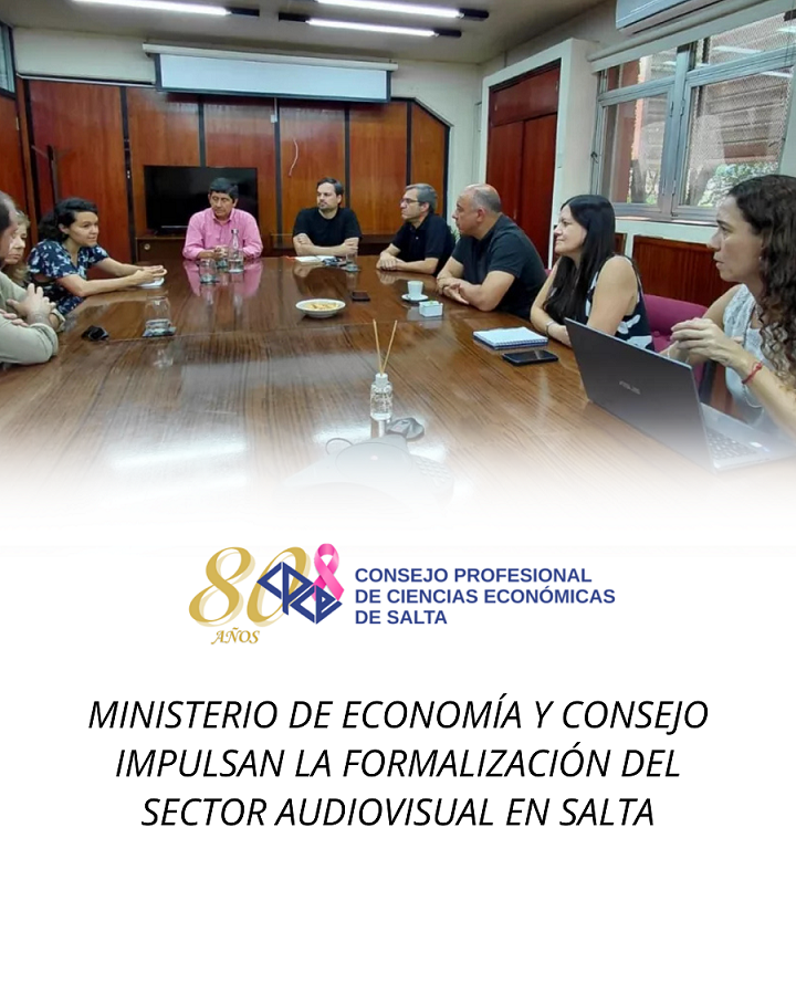 SECTOR AUDIVISUAL SALTA