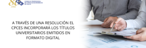 WEB (20)